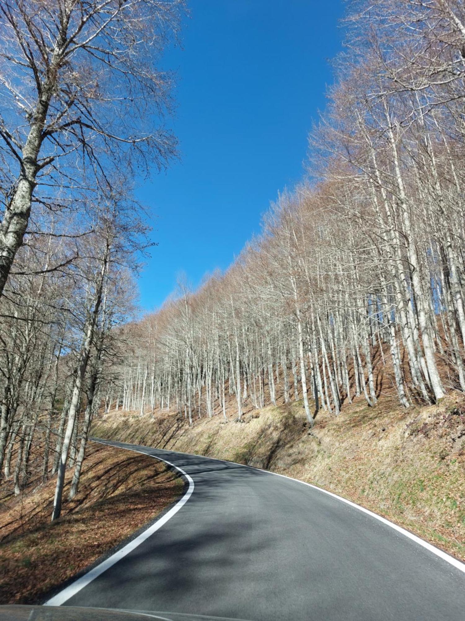 SaraguetaVenta De Arrieta住宿加早餐旅馆 外观 照片